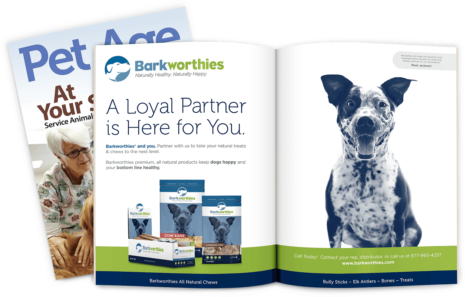 Barkworthies magazine ads