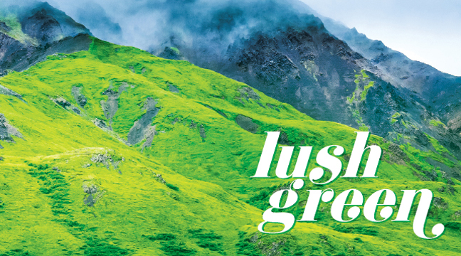 The words Gleaming Gold on a gold background image and a photo of a female model dressed in gold attire.